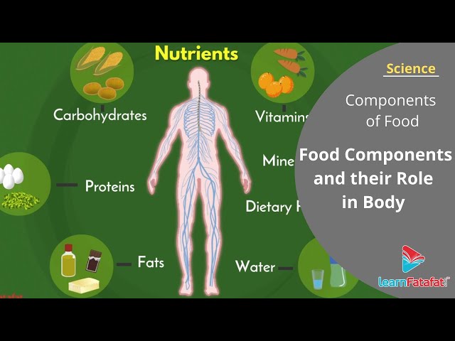 Class 6 Science Chapter 2 Components of Food - Food Components and their Role in Body