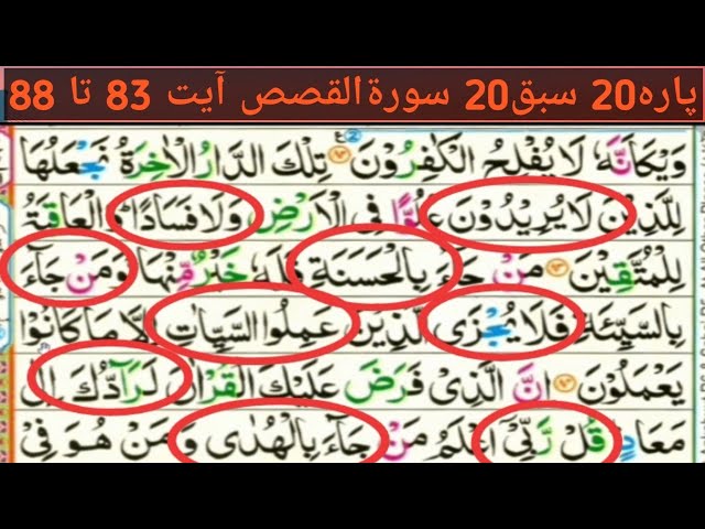 Parah 20 Lesson 20|Surah Qasas ayyt 83to88|Learn Quran with tajveed word by word|Beautiful reactions