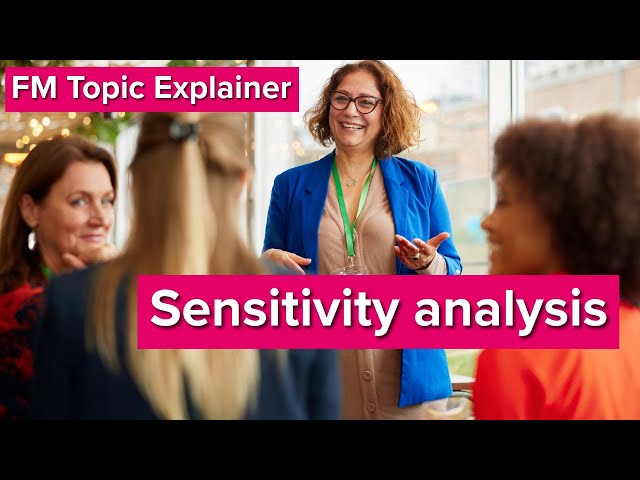 FM Topic Explainer - Sensitivity Analysis