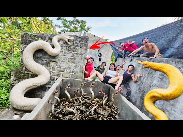 The brave soldier uses a high-tech snake detector to locate the nest of a giant white python.