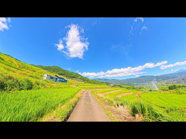 【8K 360°】Drive Through Obasute Rice Terraces｜Japan’s Stunning Mountain Terraces