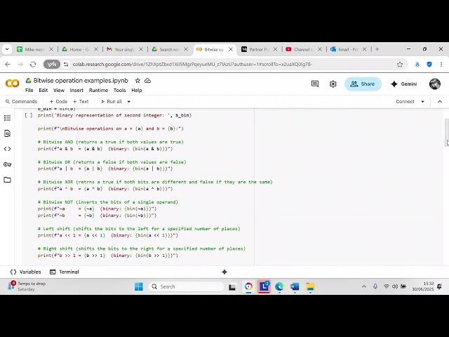 Explore bitwise operators in Python