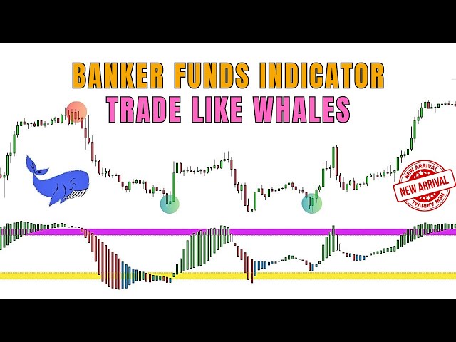 Unlock the Power of Whales: Banker Fund Flow TradinView Indicator