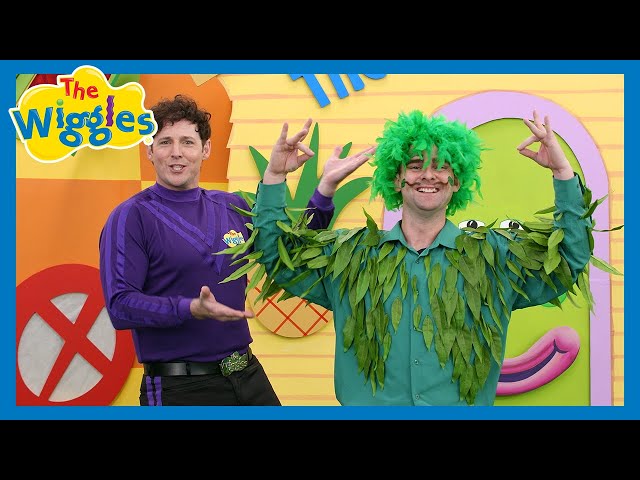 The Rattlin' Bog 🌳 The Wiggles feat. The Tree of Wisdom (The Dancing Tree) 🎶 Ready, Steady, Wiggle!