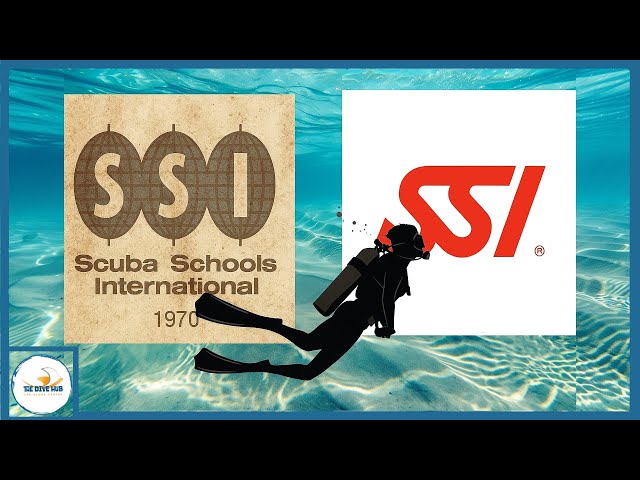 Historia de SSI: De desvalido a potencia de la industria