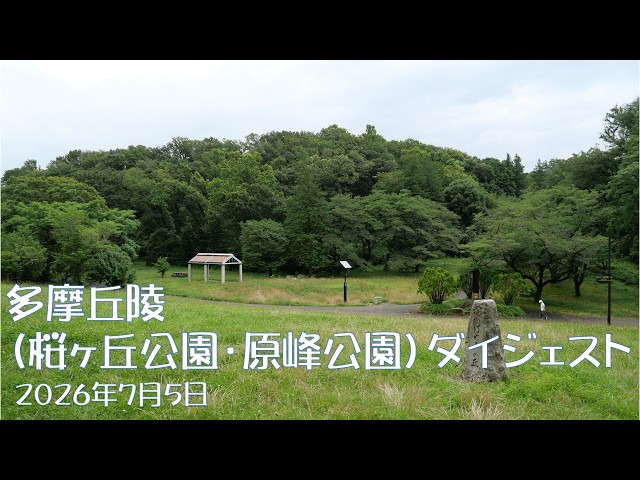 （360度）20260705多摩丘陵(桜ヶ丘公園・原峰公園)ダイジェスト版