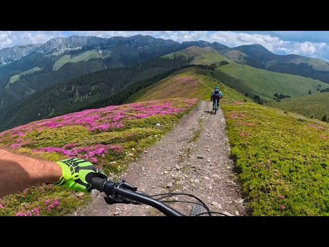 E-bike Bucegi- Vf. Bucsa- Saua Strunga- Padina