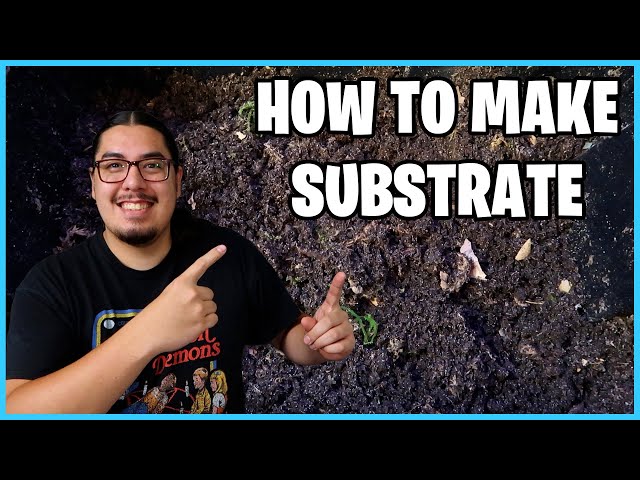 How to make Substrate!
