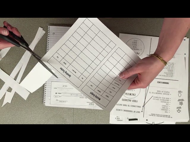 Interactive notebook teen living and adult living