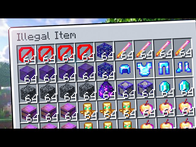How I Collected Every Illegal Item in This Minecraft SMP..!