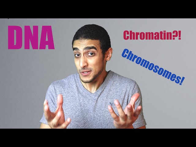 What is a DNA?