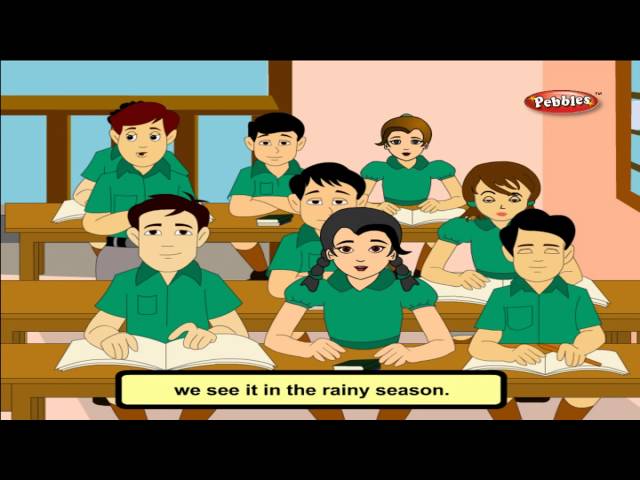 Cbse 4th CBSE SCIENCE | Soil | NCERT | CBSE Syllabus | Animated Video