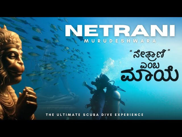 ನೇತ್ರಾಣಿ Scuba Diving in Netrani Island | Murudeshwar | Karnataka