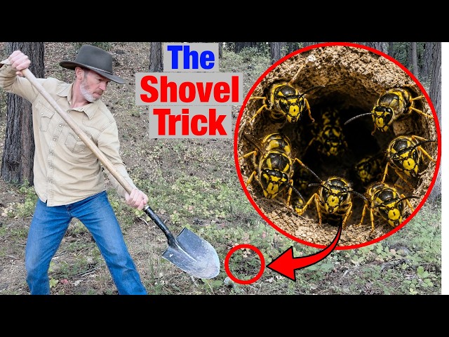 The Dumbest Way to Destroy a Yellowjacket Nest