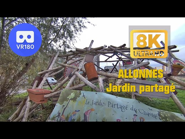 VR180 3D   8K   ALLONNES Le jardin partagé de Chaoué   CALF VISINSE