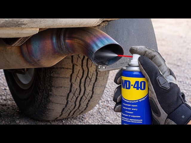 Why didn't I know about this?Spray WD-40 on your exhaust pipe and you'll be surprised by the results