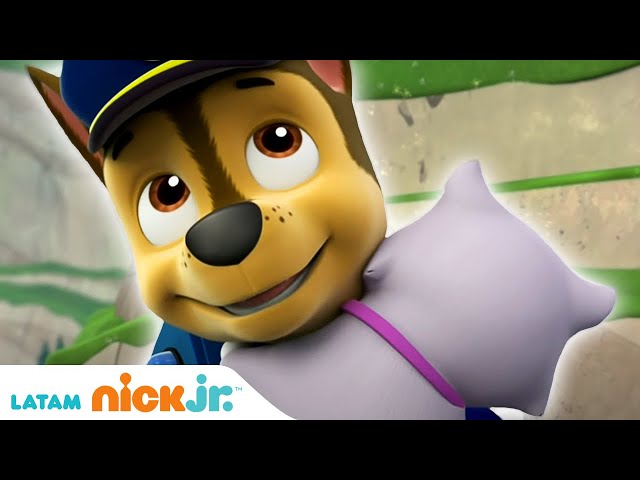 Patrulla de cachorros | ¡Los Cachorros necesitan tu ayuda! - parte 1 | Nick Jr.
