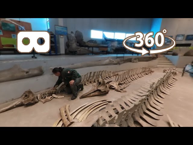 Capitulo 2  JLBrito "El océano y la vida que éste alberga moldea las características de la tierra"