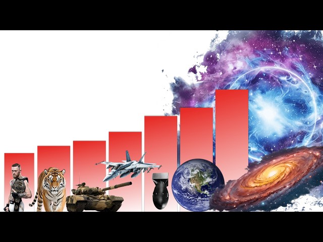 REAL LIFE Power Levels – Who Wins?
