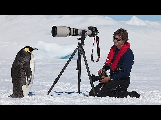 LA ANTÁRTIDA, UN AÑO EN EL HIELO- DOCUMENTALES DE LA 2