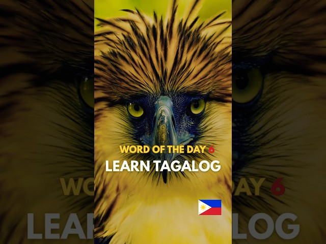 TAGALOG WORD OF THE DAY🤔💭DISCOVER THE BEAUTY OF THE FILIPINO LANGUAGE VIDEO 6