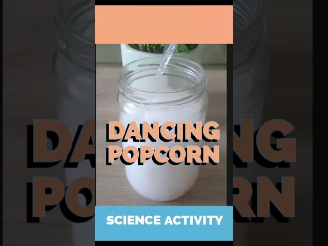 Science activity for your kids at home#viral #subscribe #activities シ#carbondioxide#experiment#fypシ
