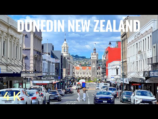 Explore Dunedin City Centre on Foot 2025 | Octagon to George Street | New Zealand Walking Tour 4K