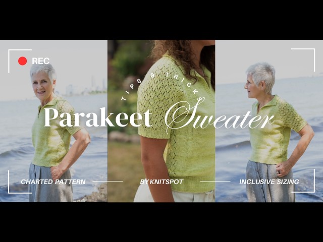 Parakeet Sweater by Anne Hanson  Tips & Tricks