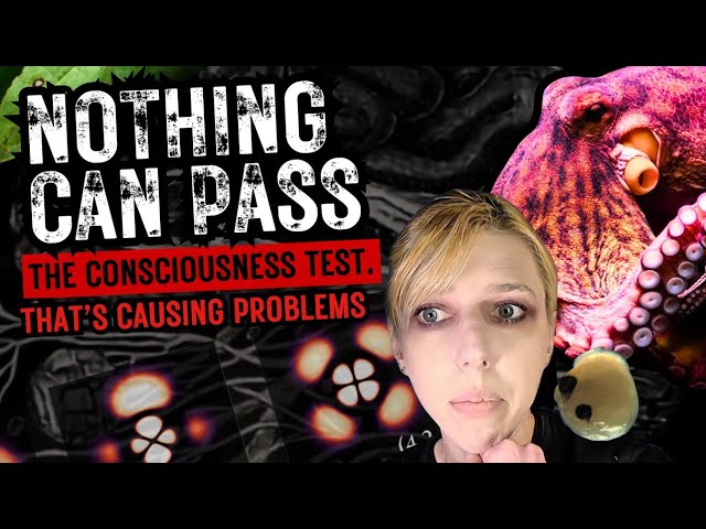 Nothing Can Pass the Consciousness Test. That’s Causing Problems.
