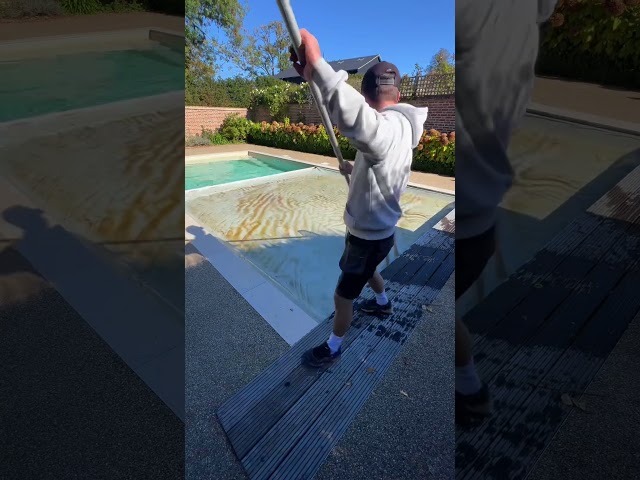 A very leafy pool maintenance 🍂 #satisfying