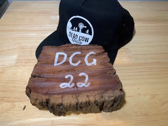 DEAD COW GULLY ULTRA 2022 REACHING FOR 200