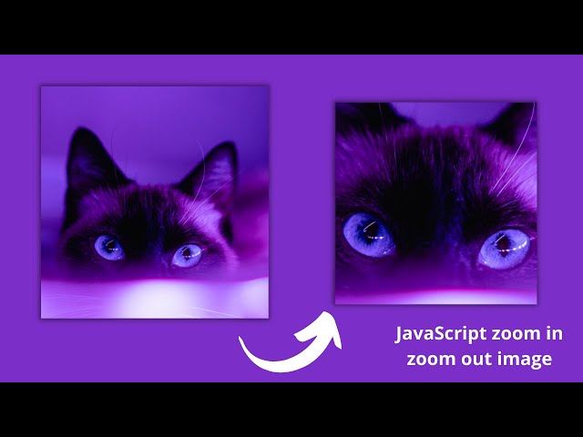 JavaScript zoom in  & zoom out image on mousemove() & mouseleave() respectively