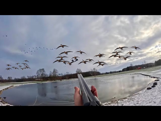 Micro Farm Pond Goose Hunt | Geese Finish FEET DOWN in the Snow