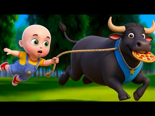 Baby Lola Buffalo Song New Compilation | Old MacDonald in Farm | Baby Cartoon & Kids Songs Baby Bobo