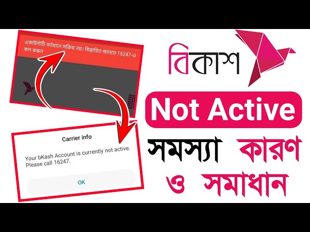 Bkash Account Not Active | Bkash Account Not Active Hole Ki Korbo