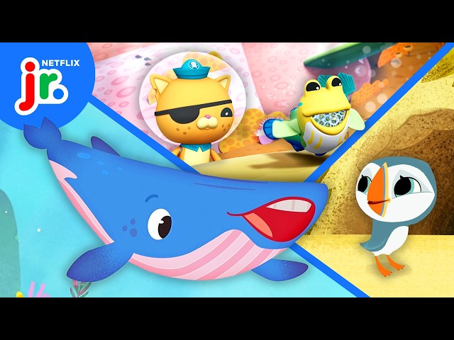 Explore the Ocean with Puffin Rock, Octonauts: Above & Beyond + MORE! 🌊🐠 Netflix Jr