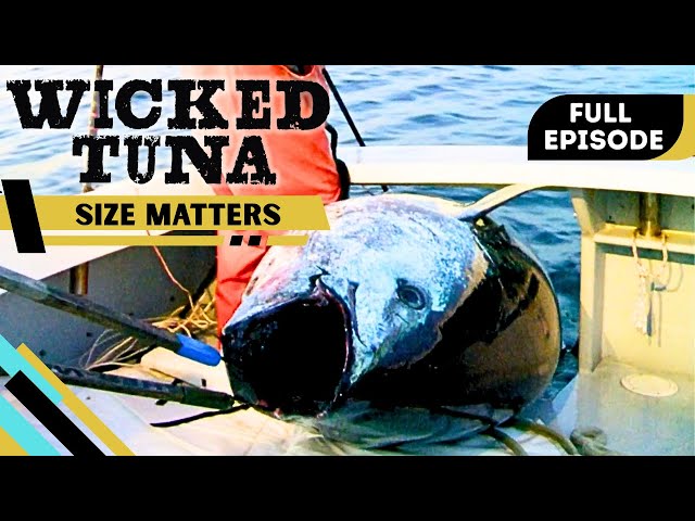 Wicked Tuna- Size Matters [1,100 Lb Fish] Sn 1 | Ep 4 (Full Show)