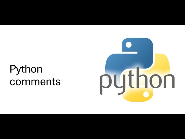 python comments