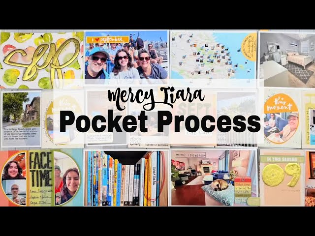 Project Life Process Sept 2025 slow scrapping