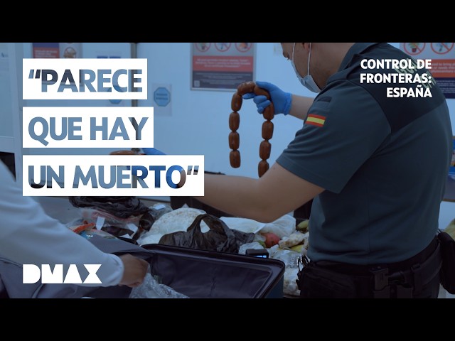 ¡El ESCÁNER detecta algo VIVO y PELIGROSO dentro de su maleta! | Control de Fronteras: España