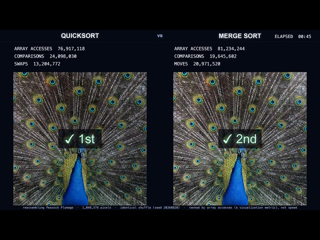 Which Sort Rebuilds the Peacock First? Quicksort vs Merge Sort (4K)