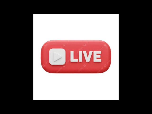 Live 3D Print: BAMBU LAB X2D