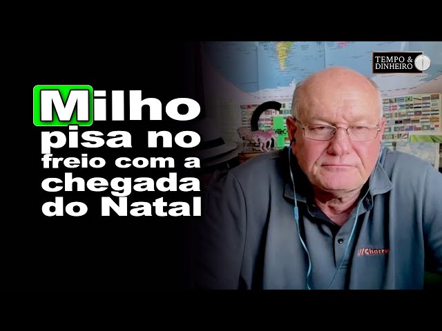 Corn enters Christmas mode: market slows down and negotiations almost stop.