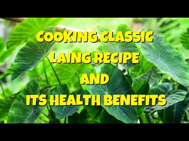 Cooking Healthy & Classic Laing. by Dr. Daisy F. Tey, Ph.D.; M.D.A.M.
