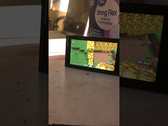 Noah building in mine craft