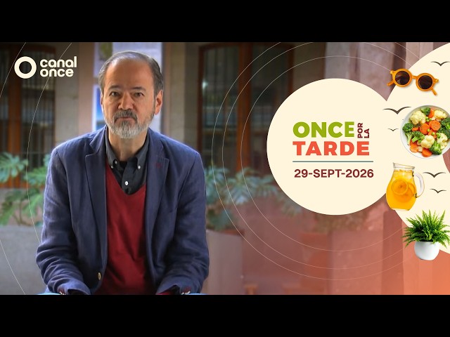 Once por la tarde (29/09/2026)