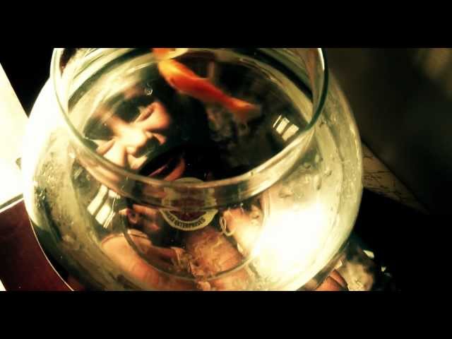 BACKSPACE by Phanindra Narsetti (Director's Cut)