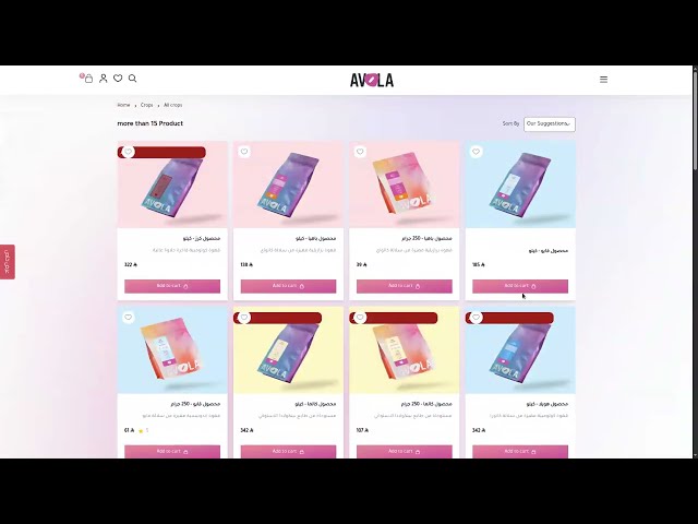 Full Custom Salla Storefront Theme — SCSS, Webpack, RTL-First, Merchant Configurable