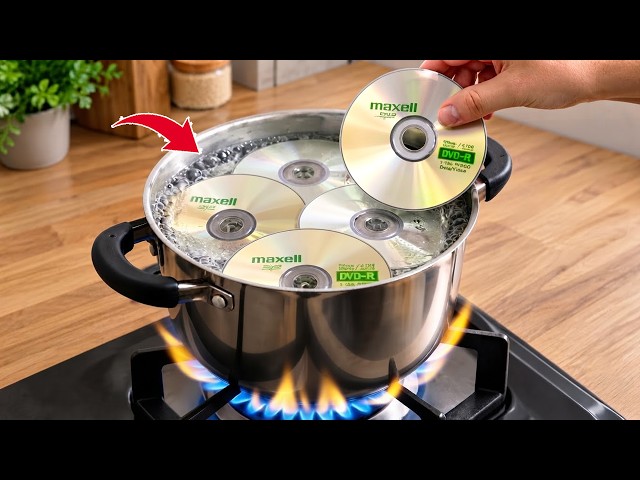 Not Everyone Knows This Secret! Boil Old CDs and See What Happens!