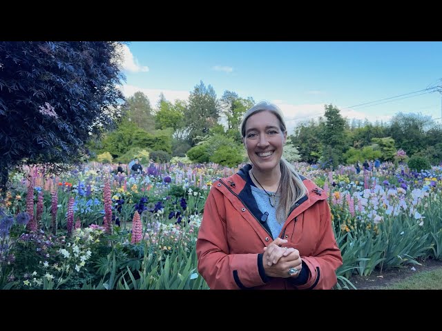 Schreiner's Iris Gardens: Display Garden Tour